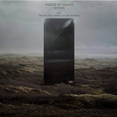 Voices Of Valley - Aquila (Erly Tepshi Remix)
