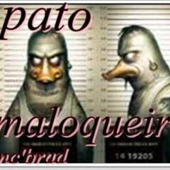 MEDIR RTA - PATO MALOQUEIRO versão 2017 (GRAVÃO DJ MAMAK)