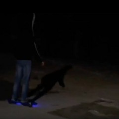 boss baby dbox seats