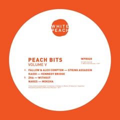 WPR020 - Fallow / Alex Compton / Kaido / Zha / Nakes - Peach Bits Vol 5