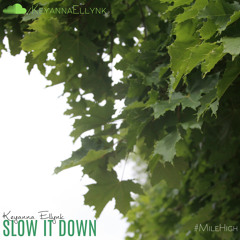 Slow It Down