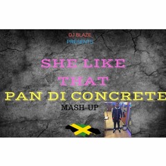 SHE LIKE THAT X PAN DI CONCRETE | DJ BLAZE