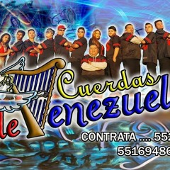 Despacito - Grupo Cuerdas De Venezuela 2017 (Limpia)
