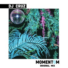 DJ Cruz - MomentOm (Original Mix)
