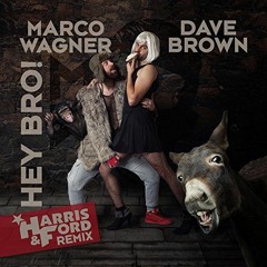 Marco Wagner & Dave Brown - Hey Bro (AegisOku Bootleg)