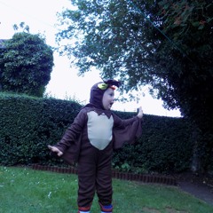 Dandersong Six - Lennon & The Owl