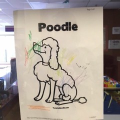 Poodle - Common Descent