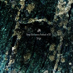 Deep Electronics Podcast #153 - Stigr