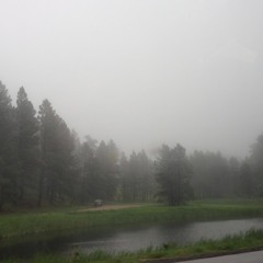 more freestyle tunes