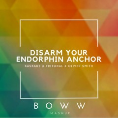 Disarm Your Endorphin Anchor (Kaskade x Tritonal x Oliver Smith)