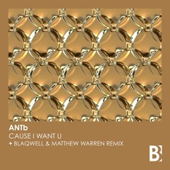 ANTb - Cause I Want U (Blaqwell & Matthew Warren Remix)