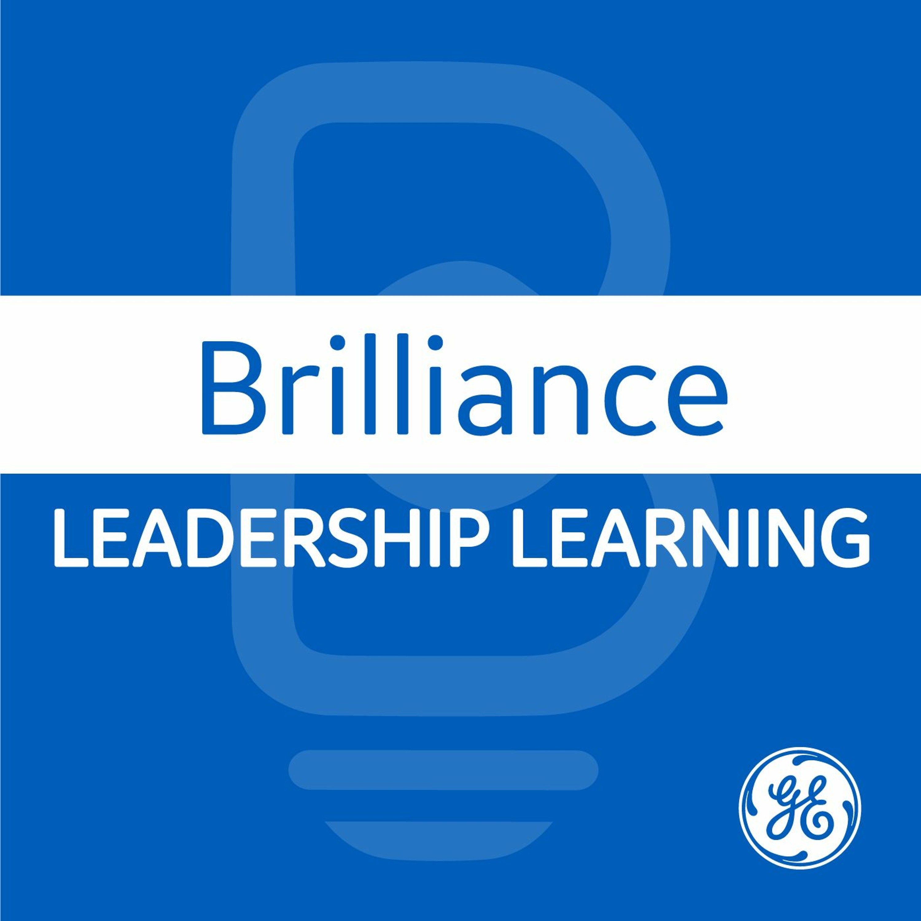 Brilliance: Leadership Learning
