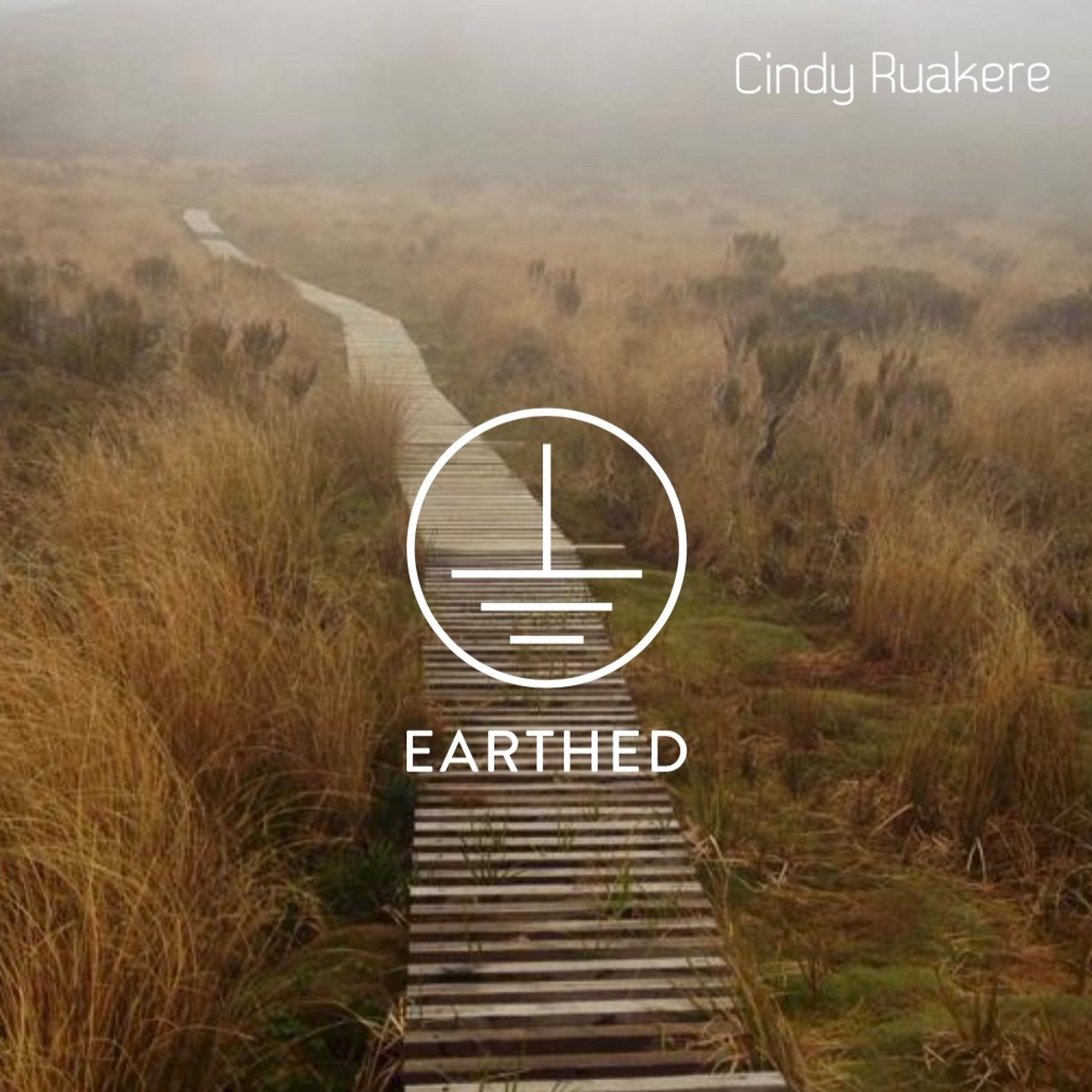 Cindy Ruakere Earthed 2016
