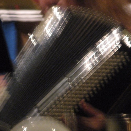 Tectonach-Live performance