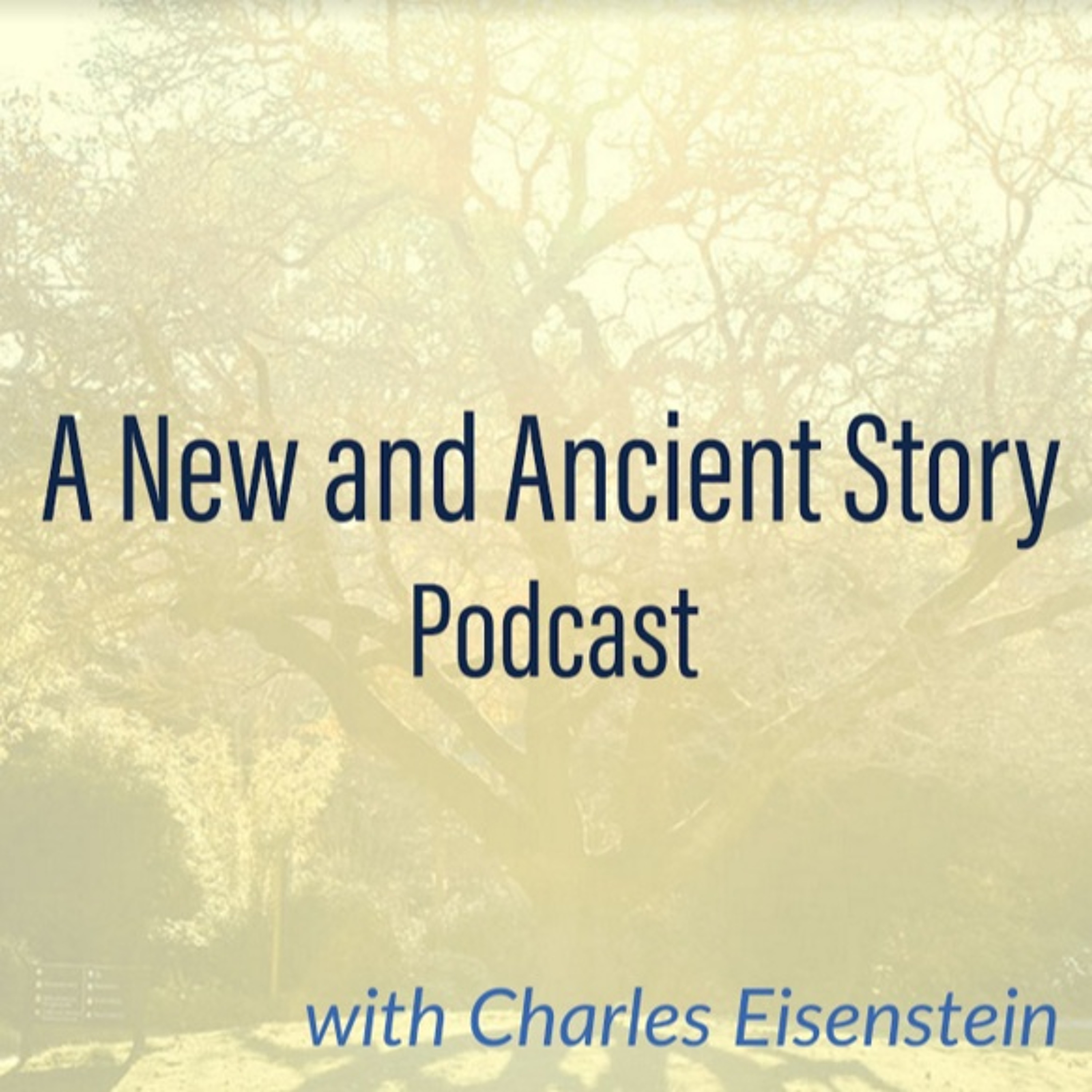 cover of episode An Evening with Satish Kumar (E20)- A New and Ancient Story