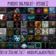 psybient.org podcast episode 12 - Best of 2016 part 2 of 2 mixed by Gagarin Project