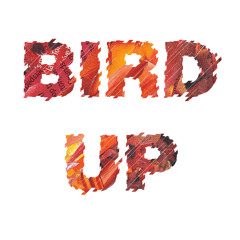 Bird Up