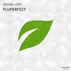 Seckin Uzer - Pluperfect (Rework)