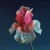 Artwork for Flume - Numb & Getting Colder (feat. Kucka) [Baauer Remix]