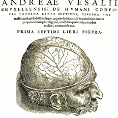 De Humani Corporis Fabrica