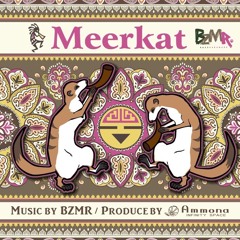 Meerkat (Original Mix) : AMMONA INFINITY SPACE & BZMR