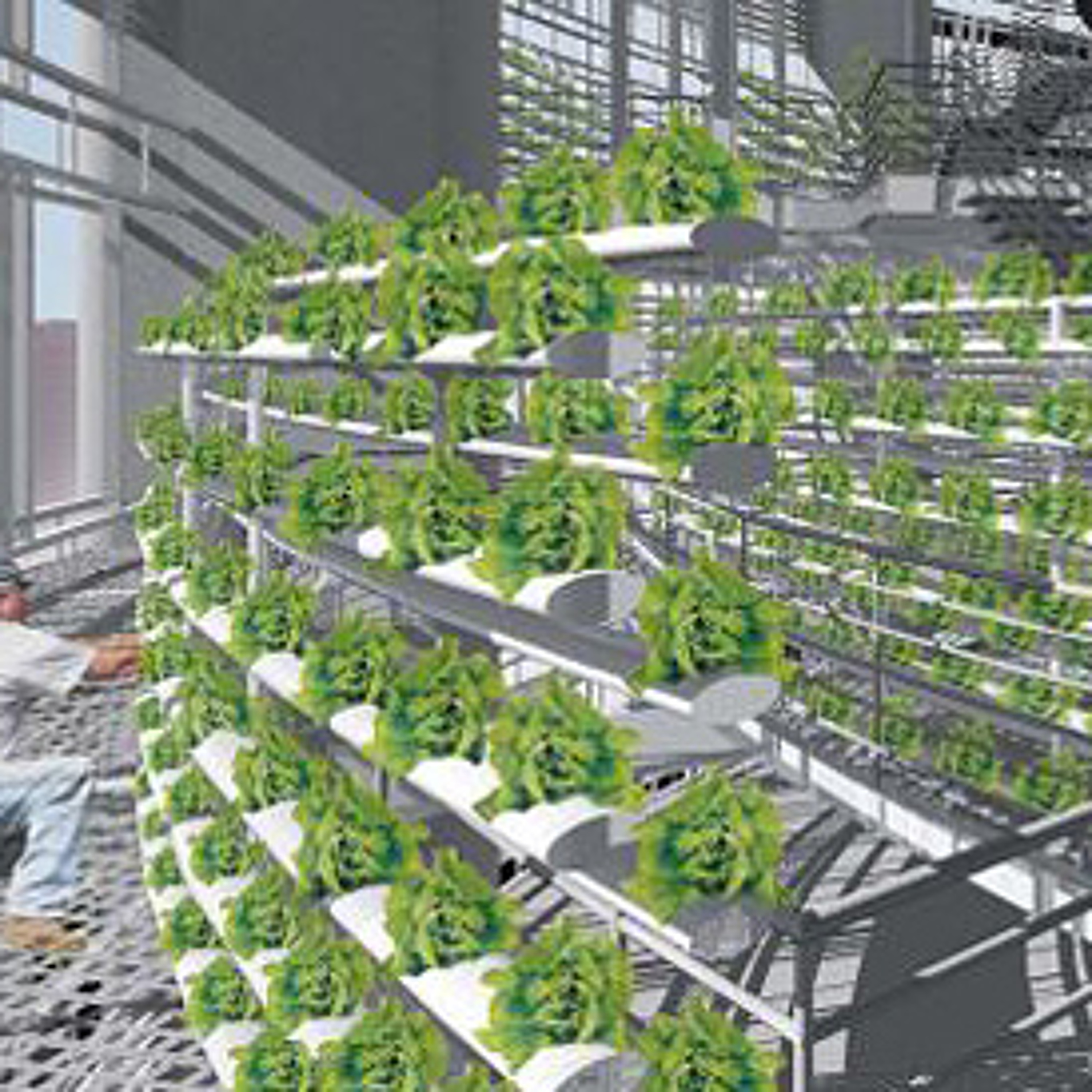 The Sustainable City: Farming Upwards