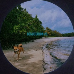 Dégustation #3 by Palm