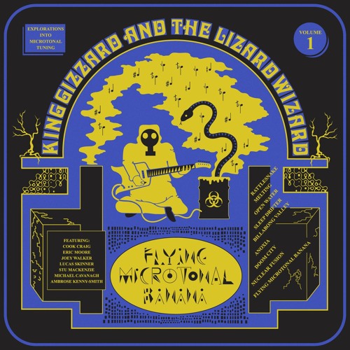 SDPU 3 King Gizzard Anoxia