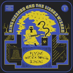 SDPU 1 King Gizzard Melting