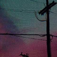 good soldiers don't eat your bread(grizzly)