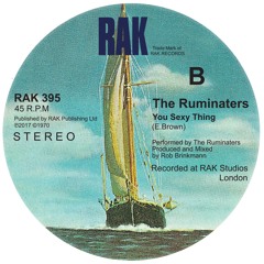 The Ruminaters - You Sexy Thing