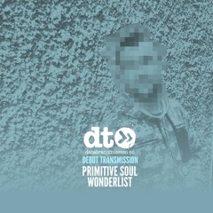 Primitive Soul - Wonderlist