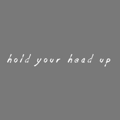 Hold Your Head Up (kins remix)