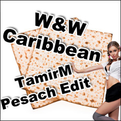 W&W - Caribbean (TamirM Pesach Edit)