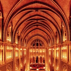 Cathedrale - Paploviante open collab