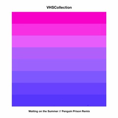 VHS Collection - Waiting On The Summer (Penguin Prison Remix)