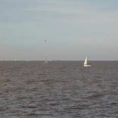 Tal Vez Cantando En El Rio