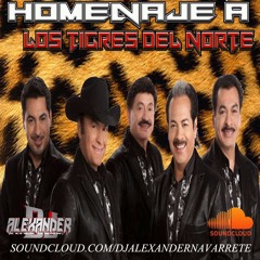 DJ ALEXANDER - NORTEÑAS LOS TIGRES DELNORTE UN ESPECIAL HOMENAJE 2017 EXITOS (MIX) (1)