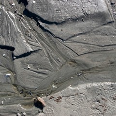 dagens gitarr 170406