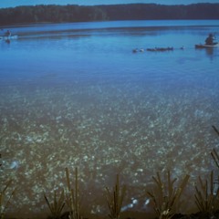 Troublesome Waters
