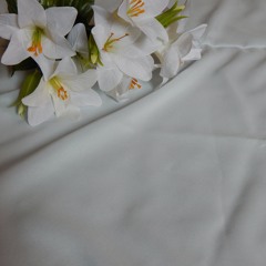 My Lipstick (Instrumental)