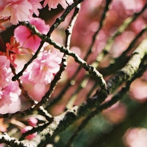 Universal (Prod.four twenty)