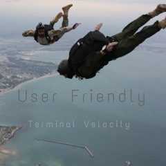 Terminal Velocity