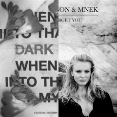 Sebastian Ingrosso vs. Zara Larsson - Dark River Never Forgets You (Dannic Mashup) [steady re-edit]