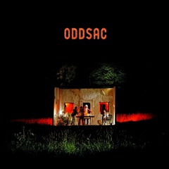 Animal Collective - Oddsac EP