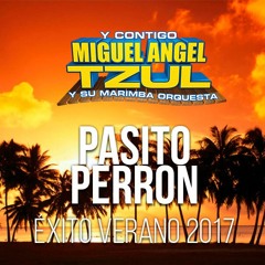 Pasito Perron