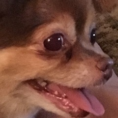 I don't shoot blanks (Riot XXXTENTACION Cover)