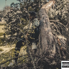 Wonder (Prod. By Tekn)