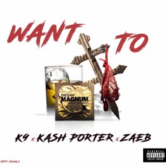 Want To - K9 x Kash Porter x Zae B