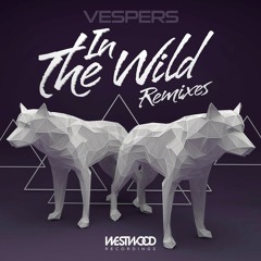 In The Wild (Sam Winter Remix)